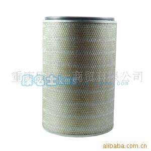 CCEC康明斯柴油發(fā)動(dòng)機(jī)濾清器AF424 
