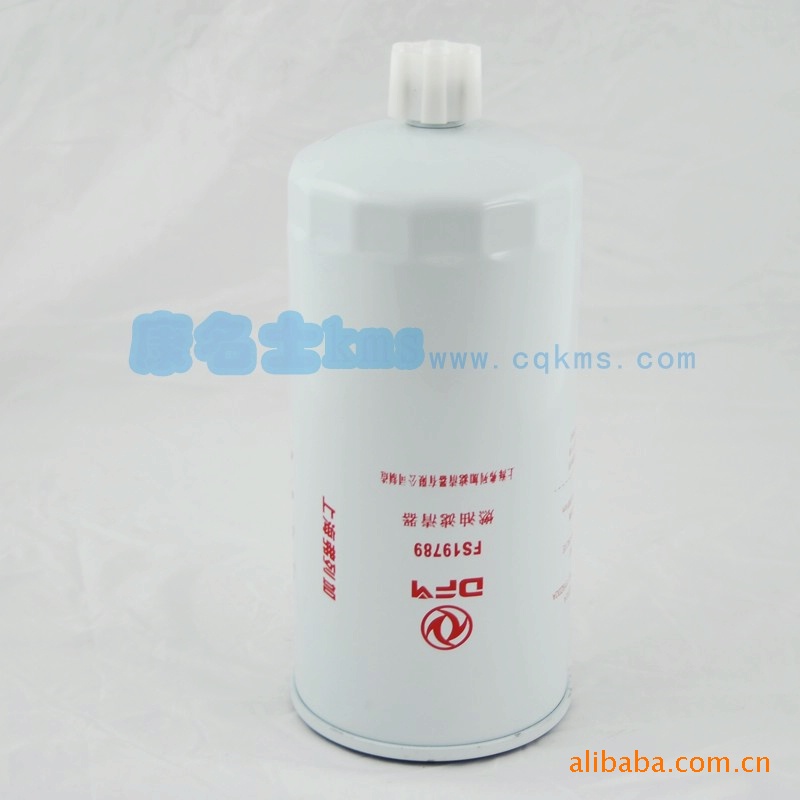 CCEC康明斯柴油發(fā)動(dòng)機(jī)燃油濾清器fs19789 